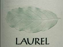 Laurel